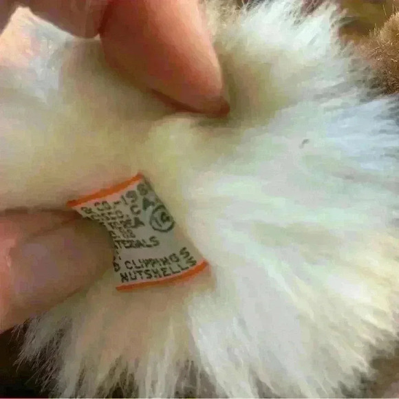 Vintage 1981 Dakin Bird Watchers American Regal Eagle Plush Stuffed Animal - Picture 6 of 8